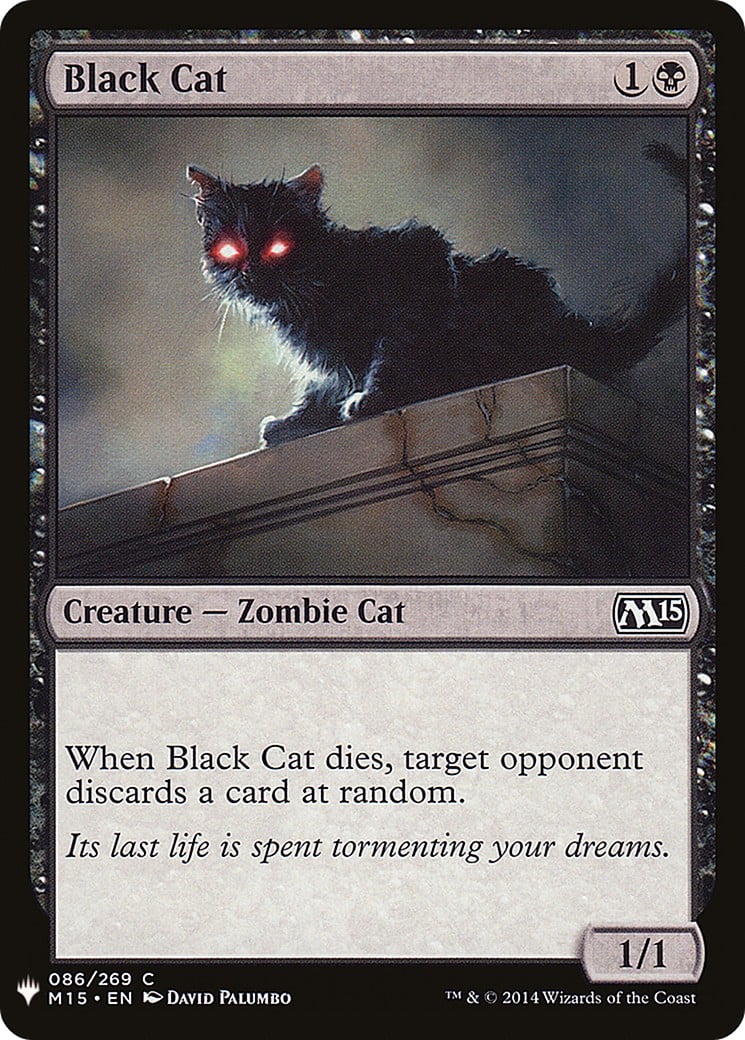 Black Cat - Image 1