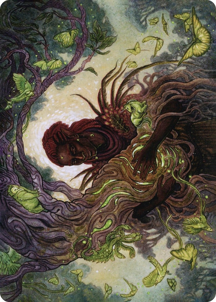 Circle of Dreams Druid // Circle of Dreams Druid - Image 1