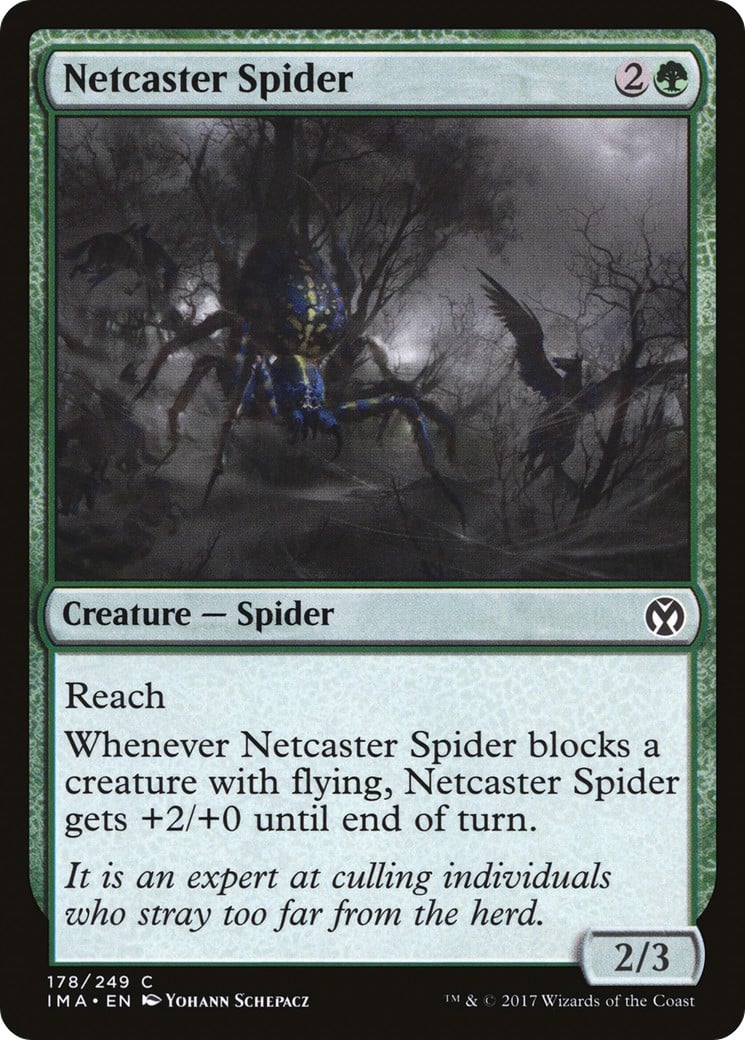Netcaster Spider - Image 1