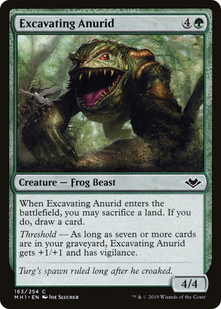 Excavating Anurid - Image 1