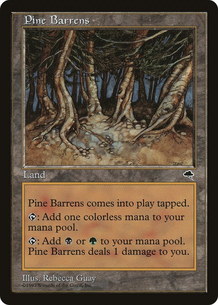 Pine Barrens - Image 1