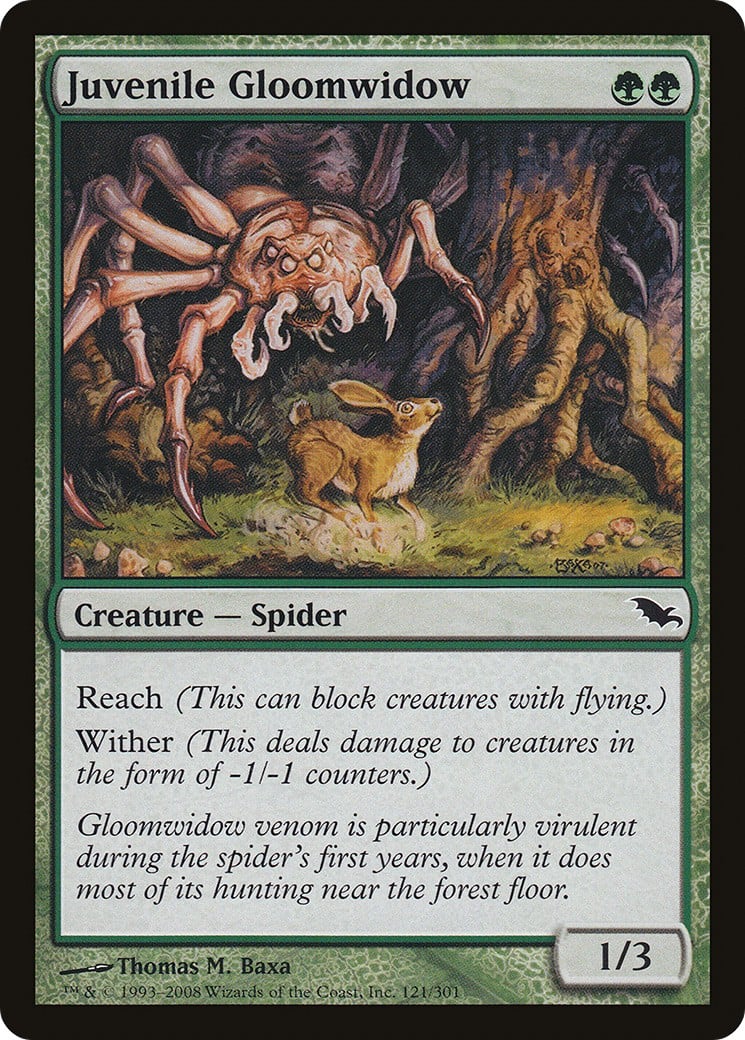 Juvenile Gloomwidow - Image 1