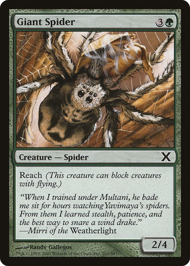 Giant Spider - Image 1