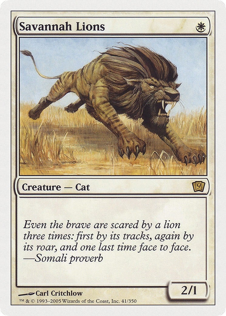 Savannah Lions - Image 1