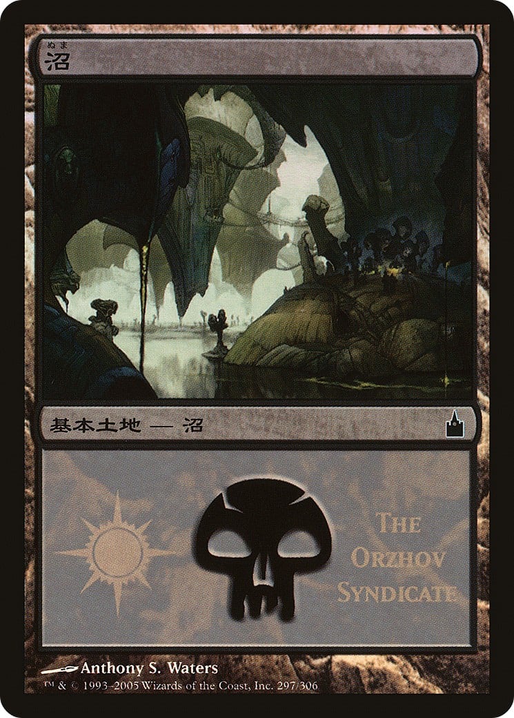 Swamp - Image 1