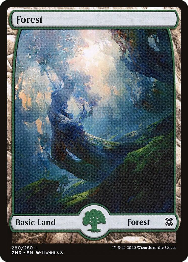 Forest - Image 1