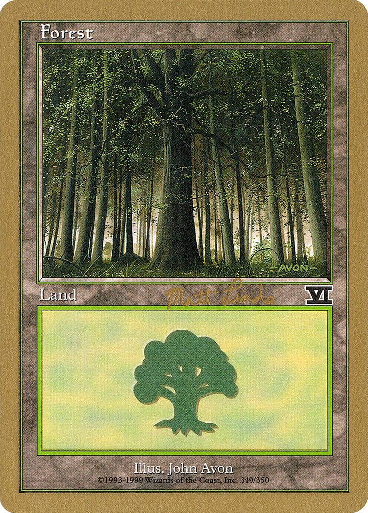 Forest - Image 1