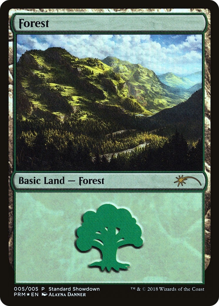 Forest - Image 1