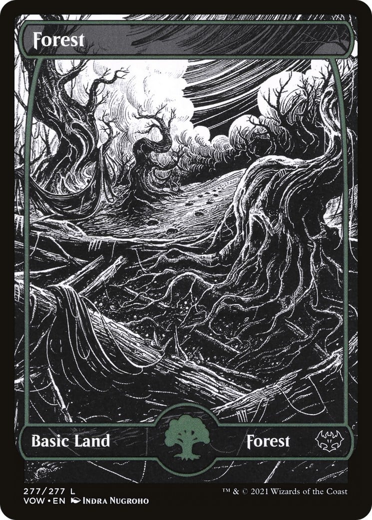 Forest - Image 1