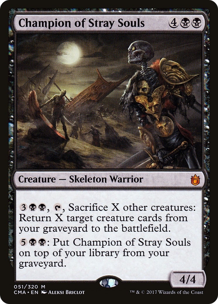 Champion of Stray Souls - Image 1