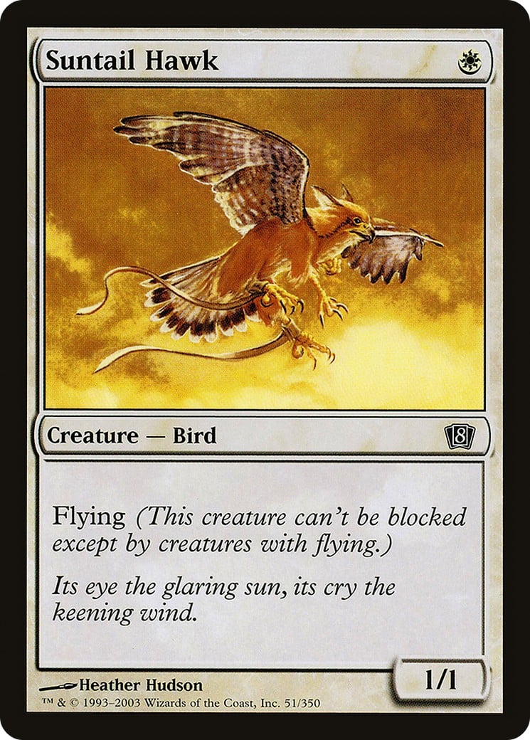Suntail Hawk - Image 1
