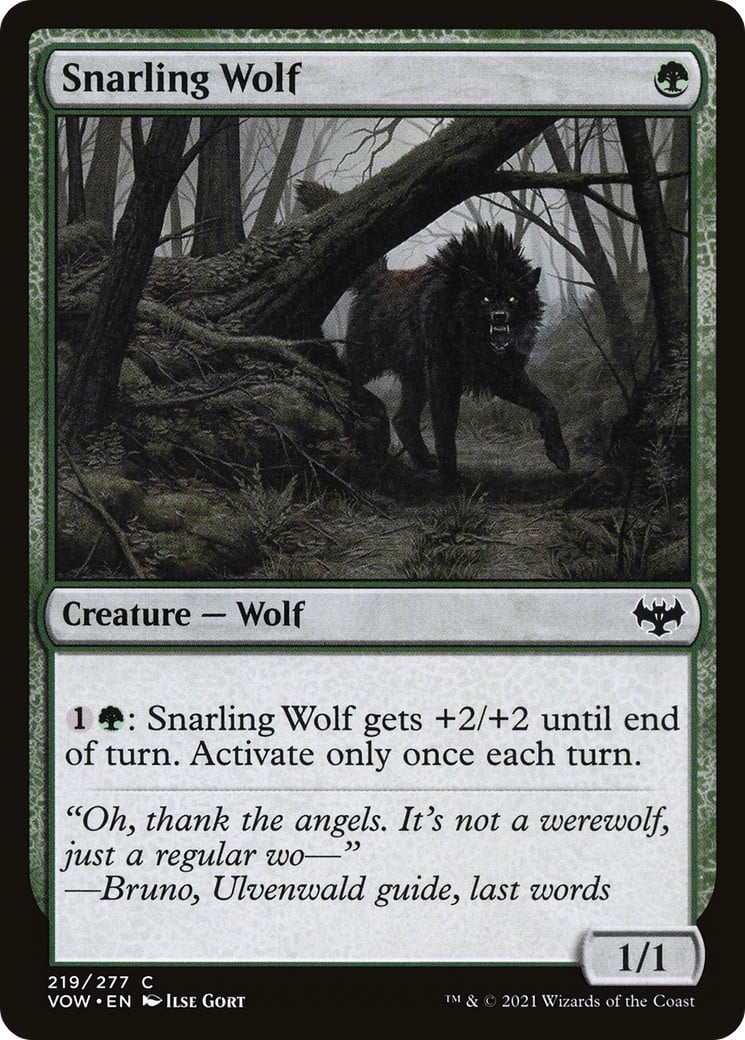 Snarling Wolf - Image 1