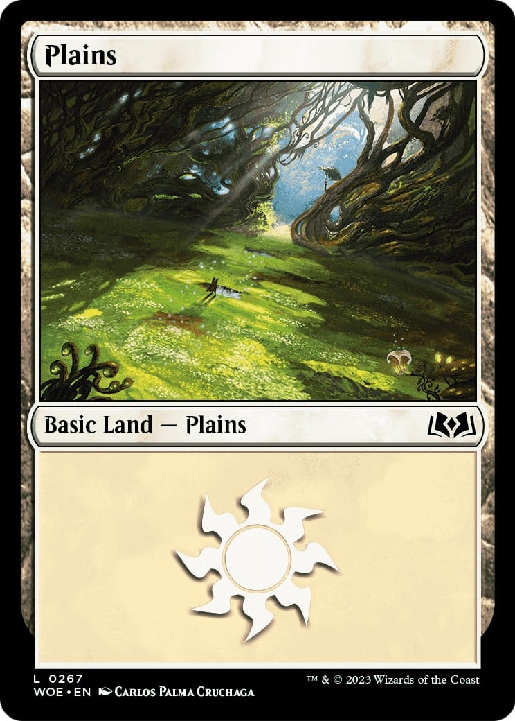 Plains - Image 1