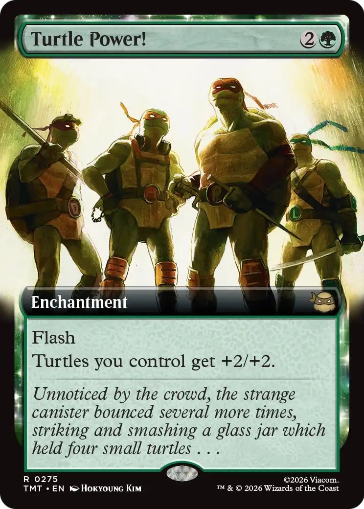 Turtle Power! - Image 1