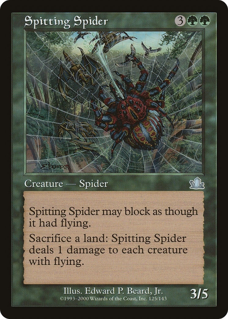 Spitting Spider - Image 1