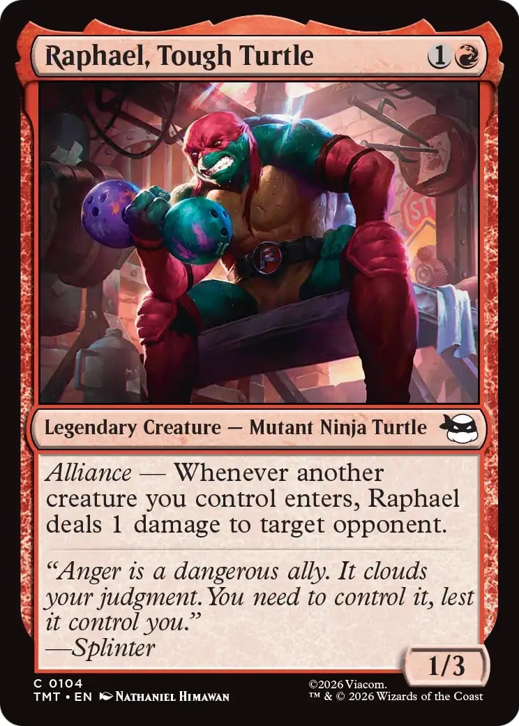 Raphael, Tough Turtle - Image 1
