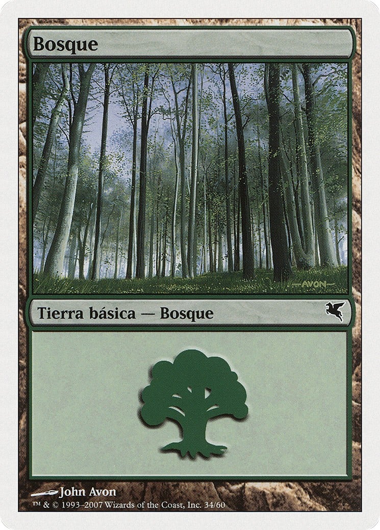 Forest - Image 1