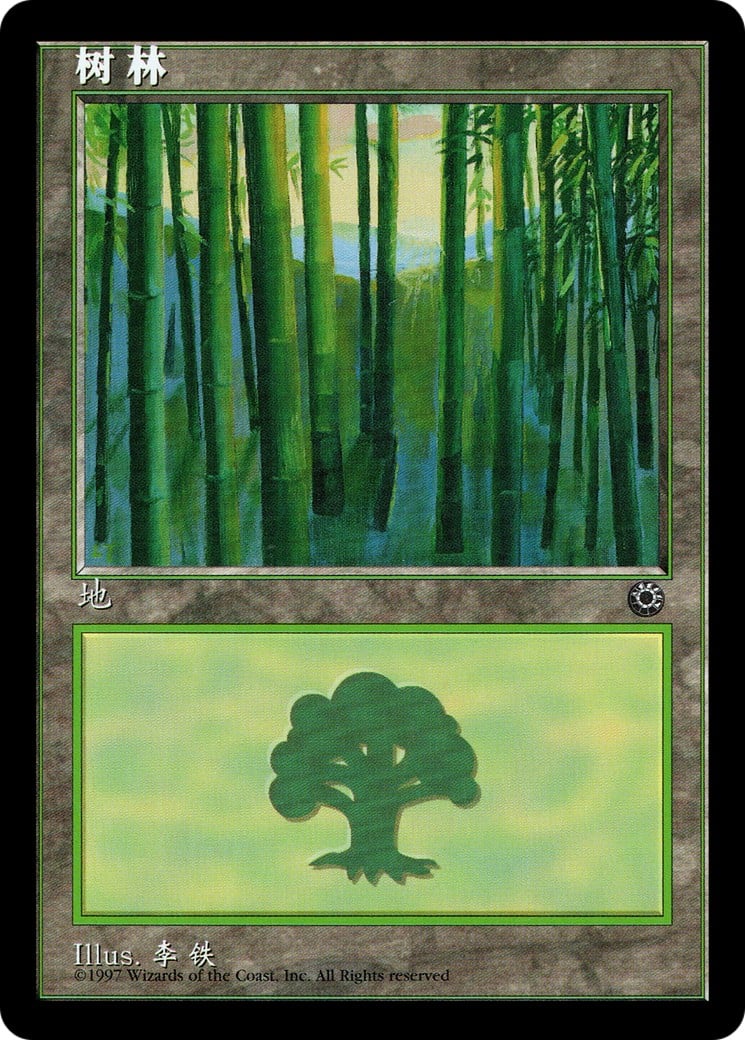 Forest - Image 1