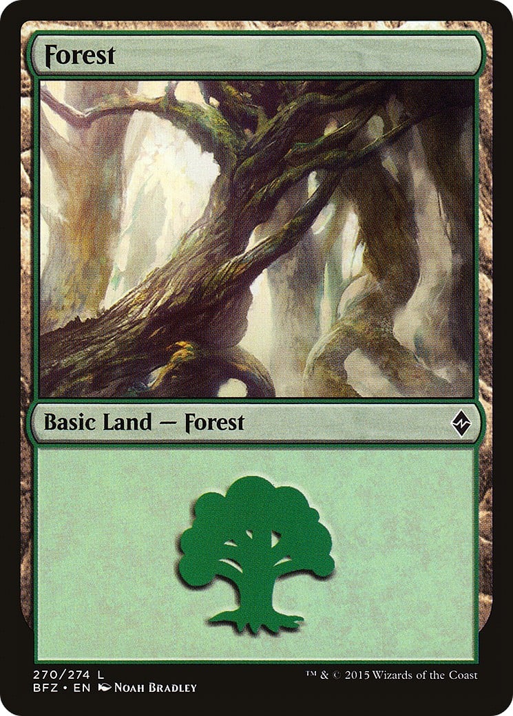 Forest - Image 1