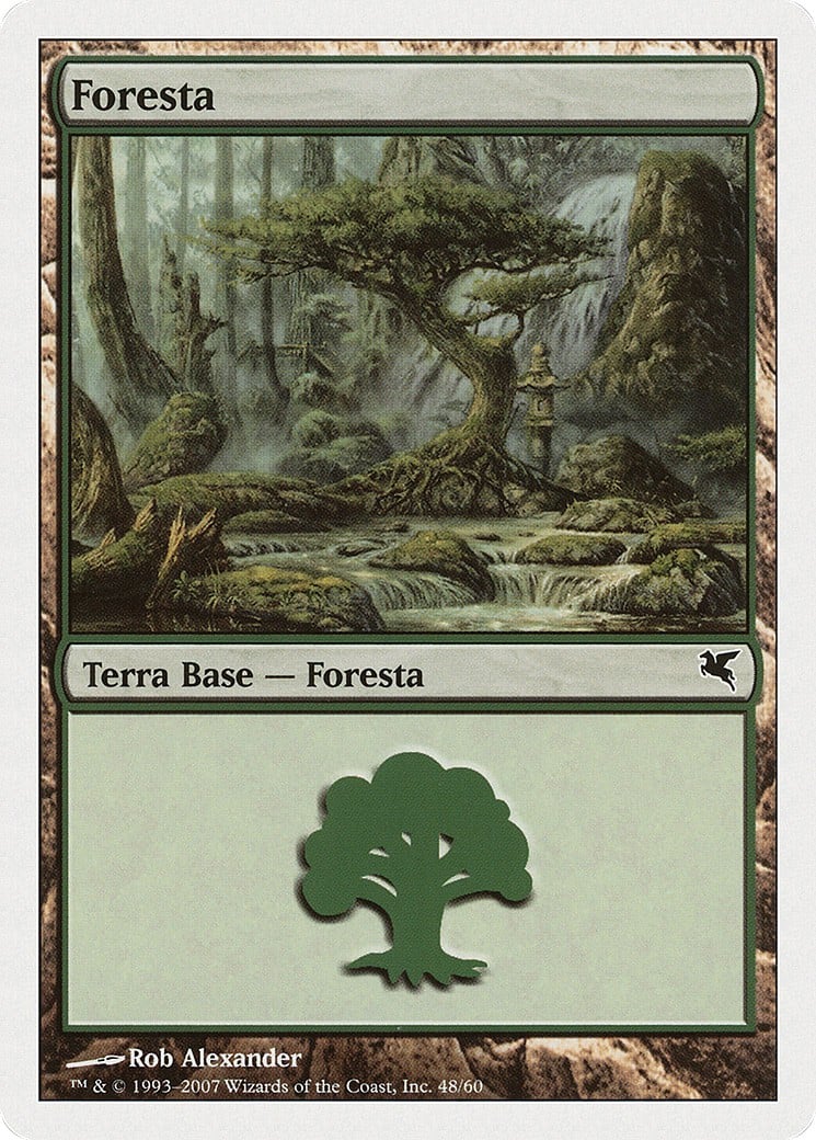 Forest - Image 1