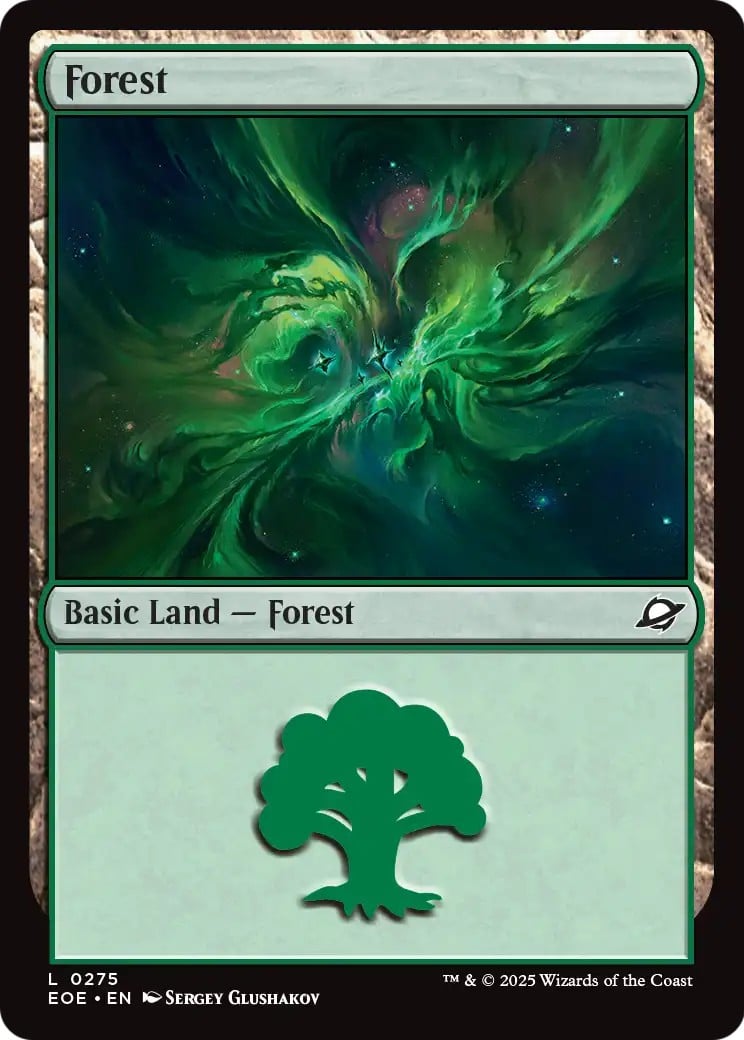 Forest - Image 1