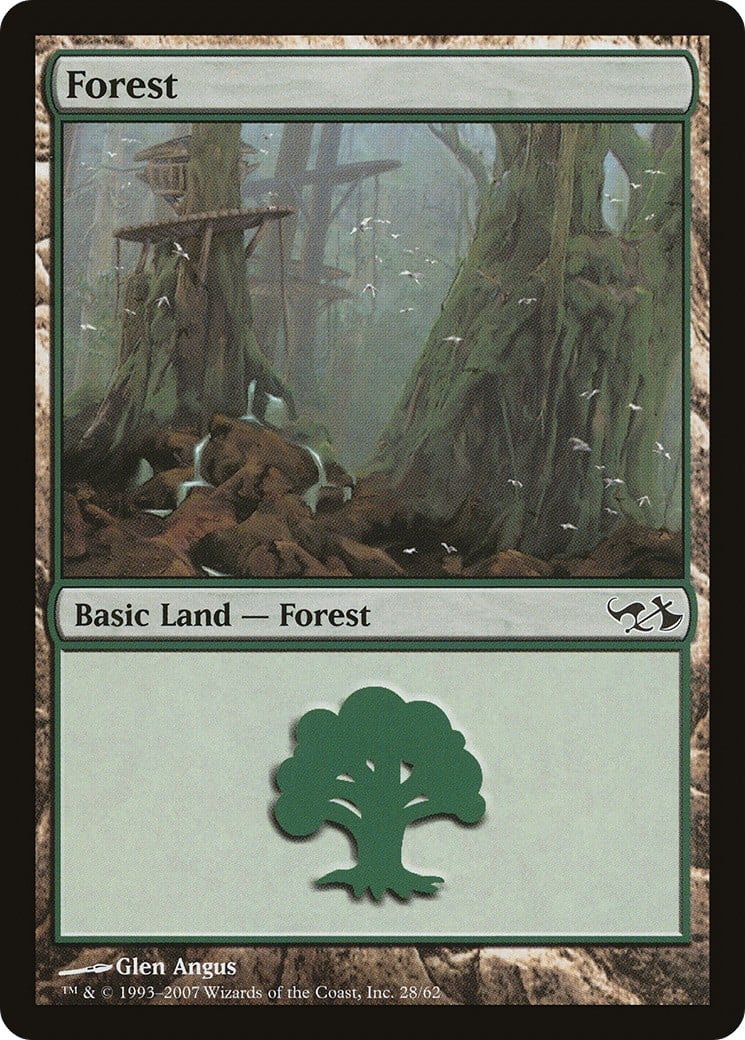 Forest - Image 1