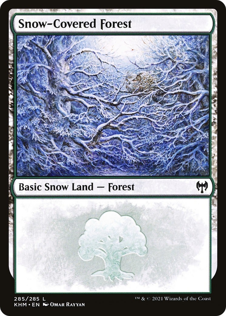 Snow-Covered Forest - Image 1