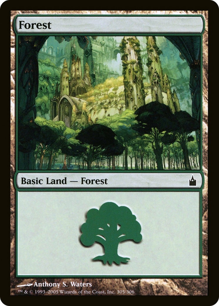 Forest - Image 1