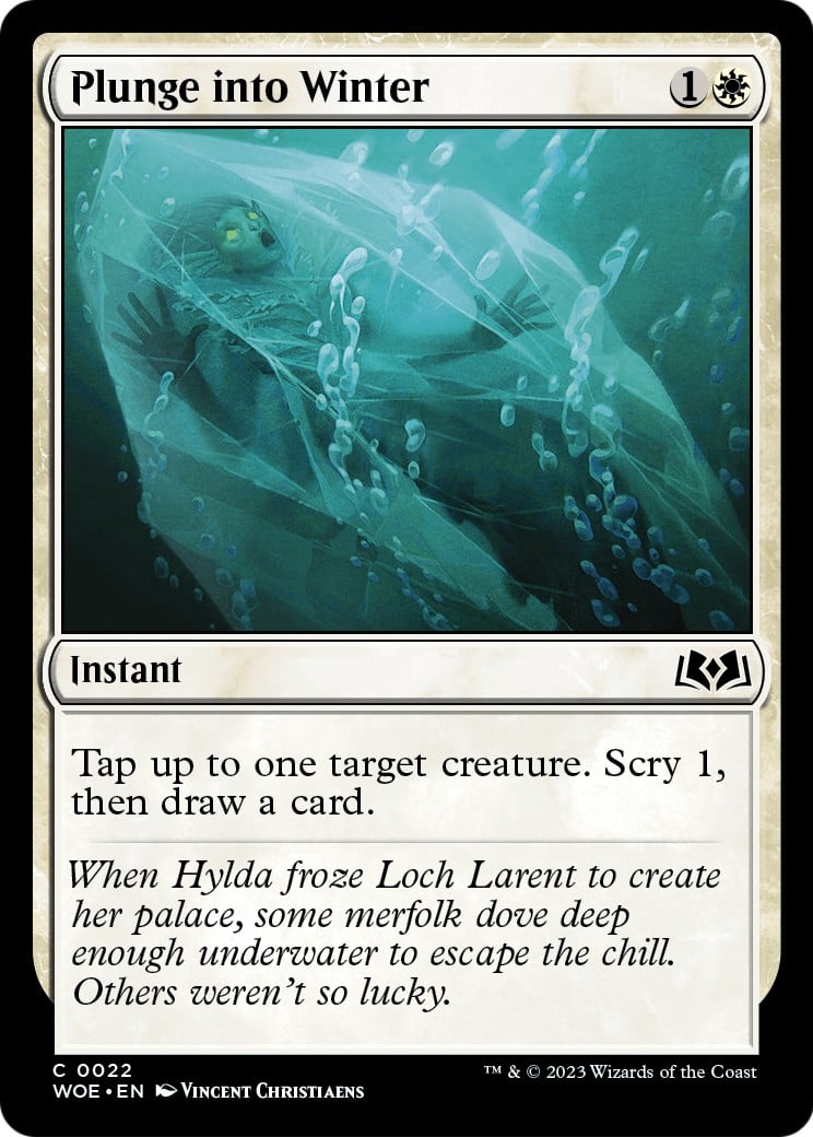 Plunge into Winter - Image 1