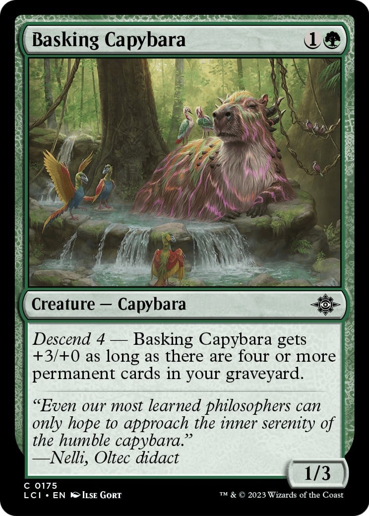Basking Capybara - Image 1