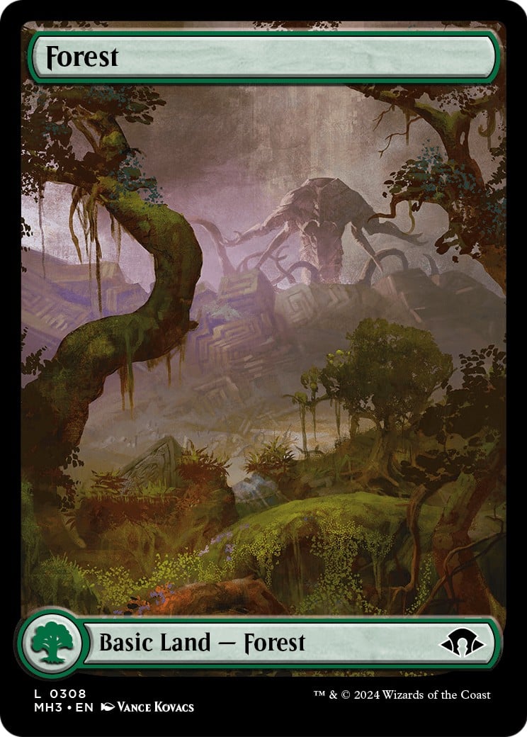 Forest - Image 1