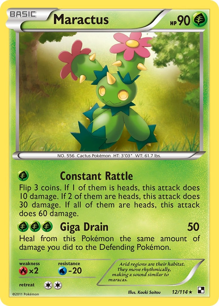 Maractus - Image 1