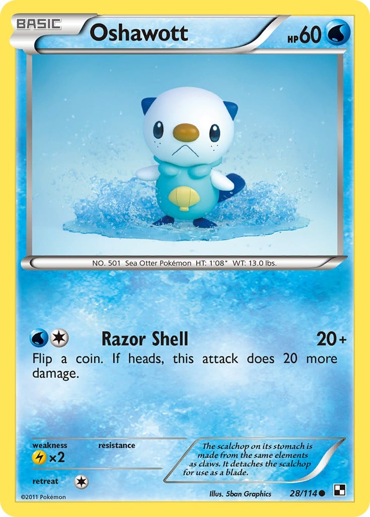 Oshawott - Image 1
