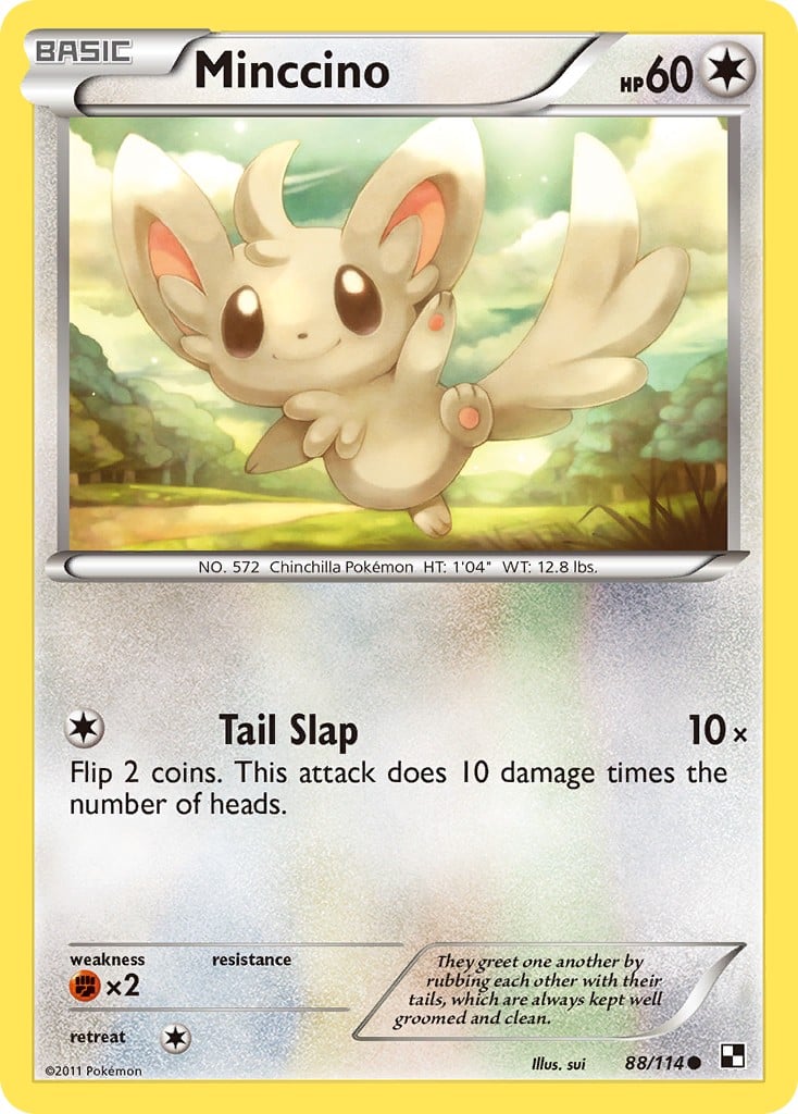 Minccino - Image 1