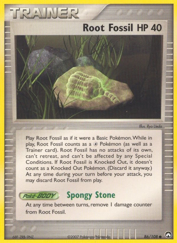 Root Fossil - Image 1