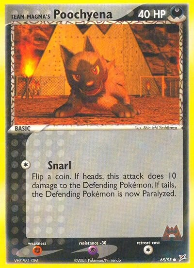 Team Magma's Poochyena - Image 1