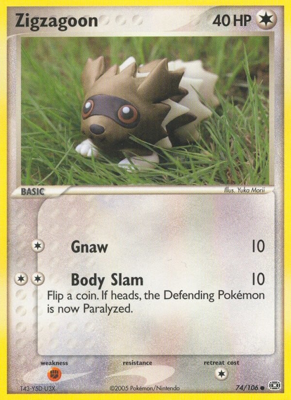 Zigzagoon - Image 1