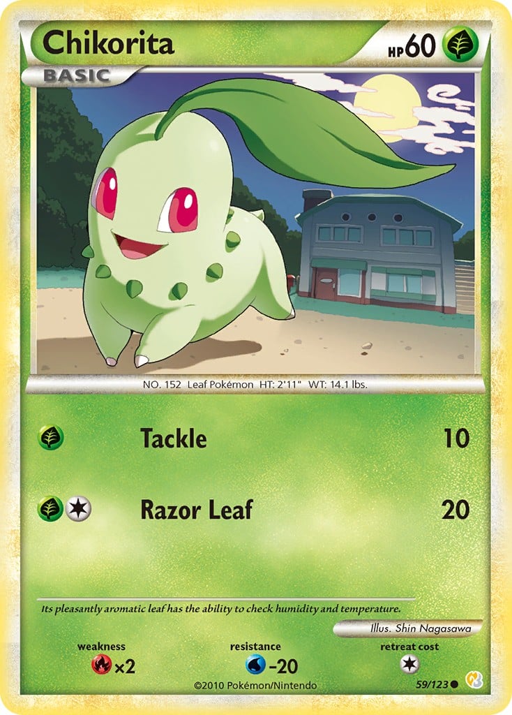 Chikorita - Image 1