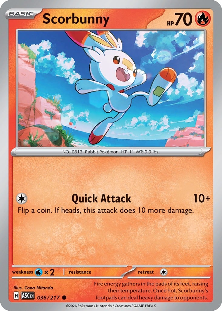 Scorbunny - Image 1