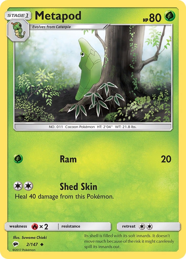 Metapod Metapod - Image 1