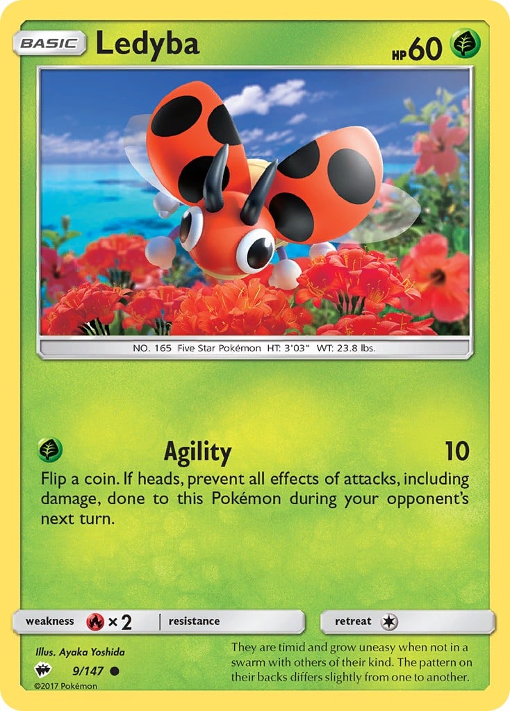 Ledyba Ledyba - Image 1