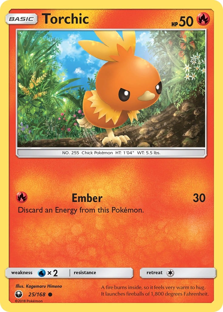 Torchic - Image 1