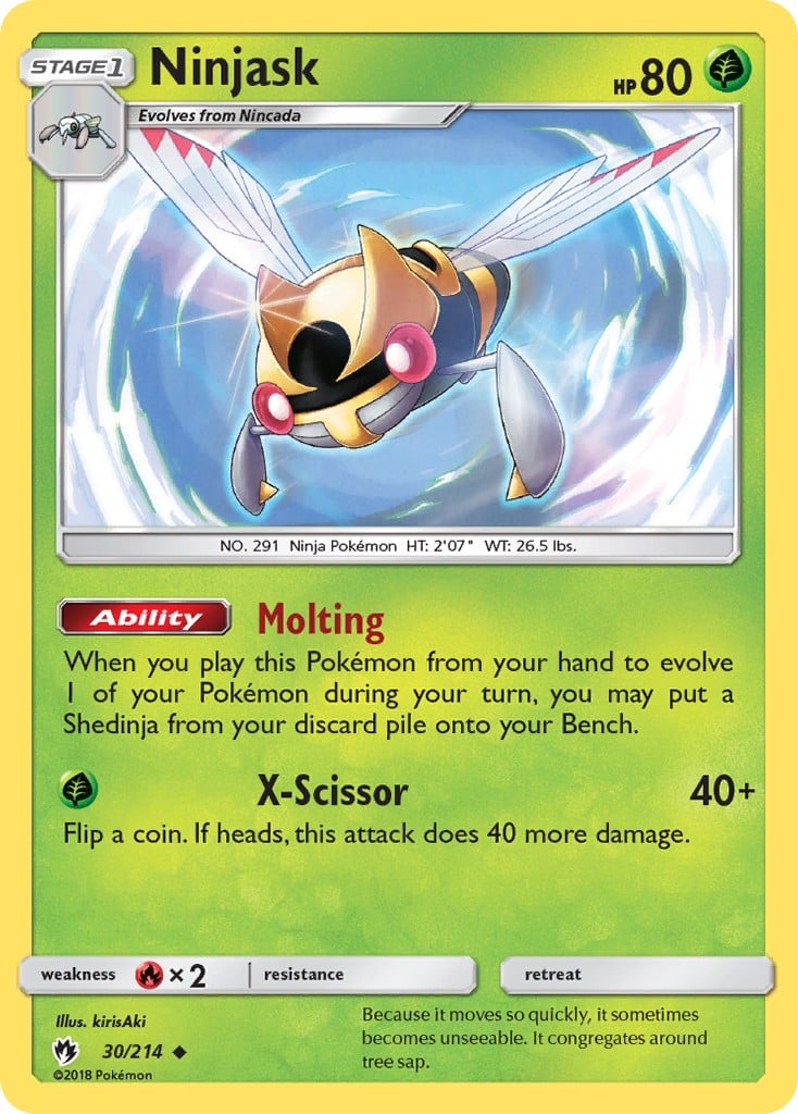 Ninjask - Image 1