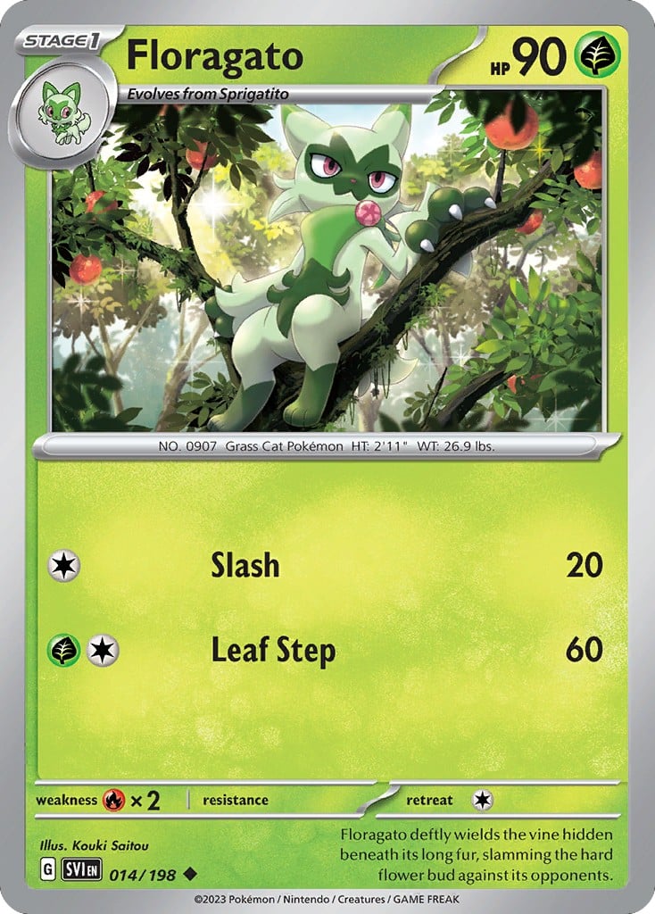Floragato - Image 1