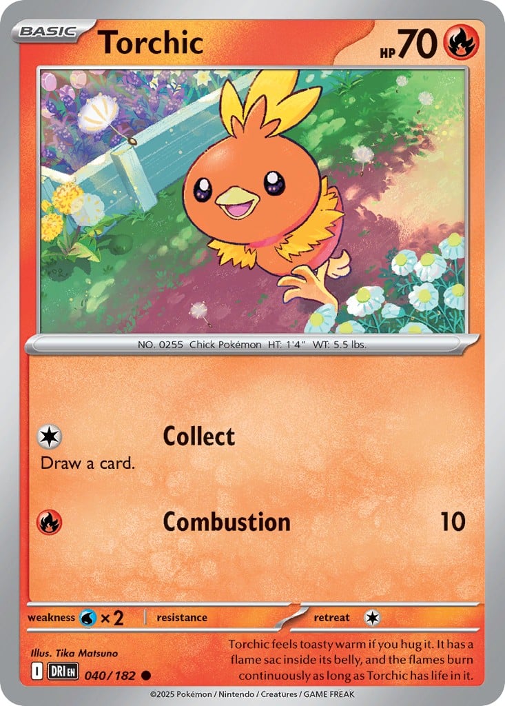Torchic - Image 1