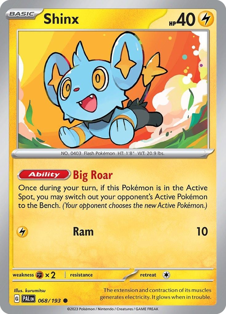 Shinx - Image 1