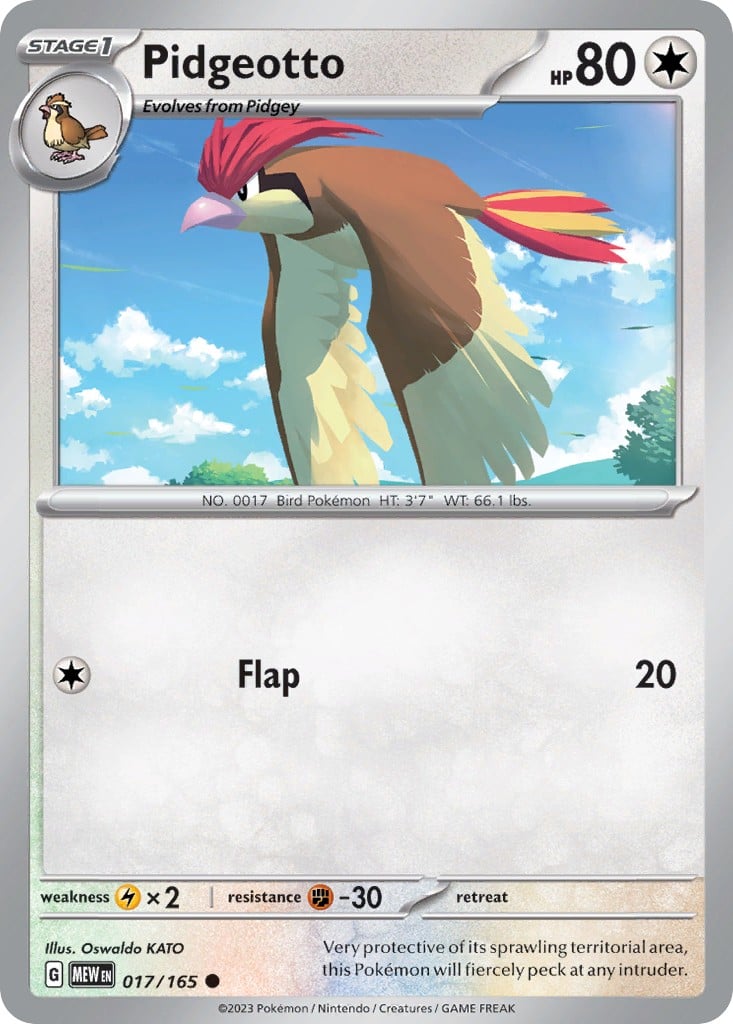 Pidgeotto - Image 1