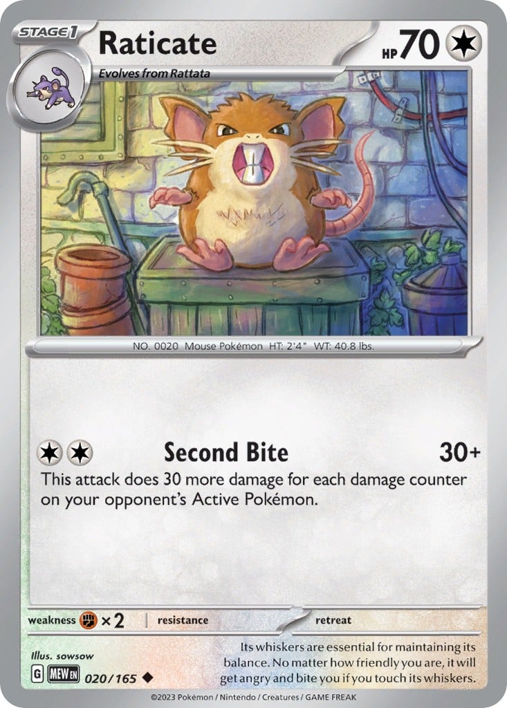 Raticate - Image 1