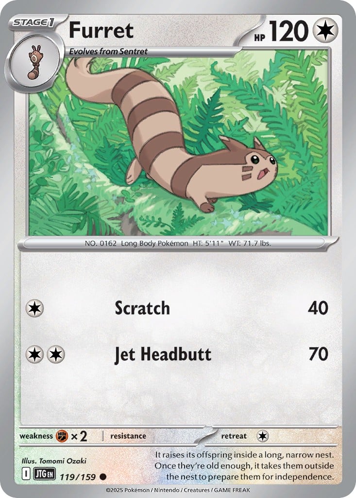 Furret - Image 1