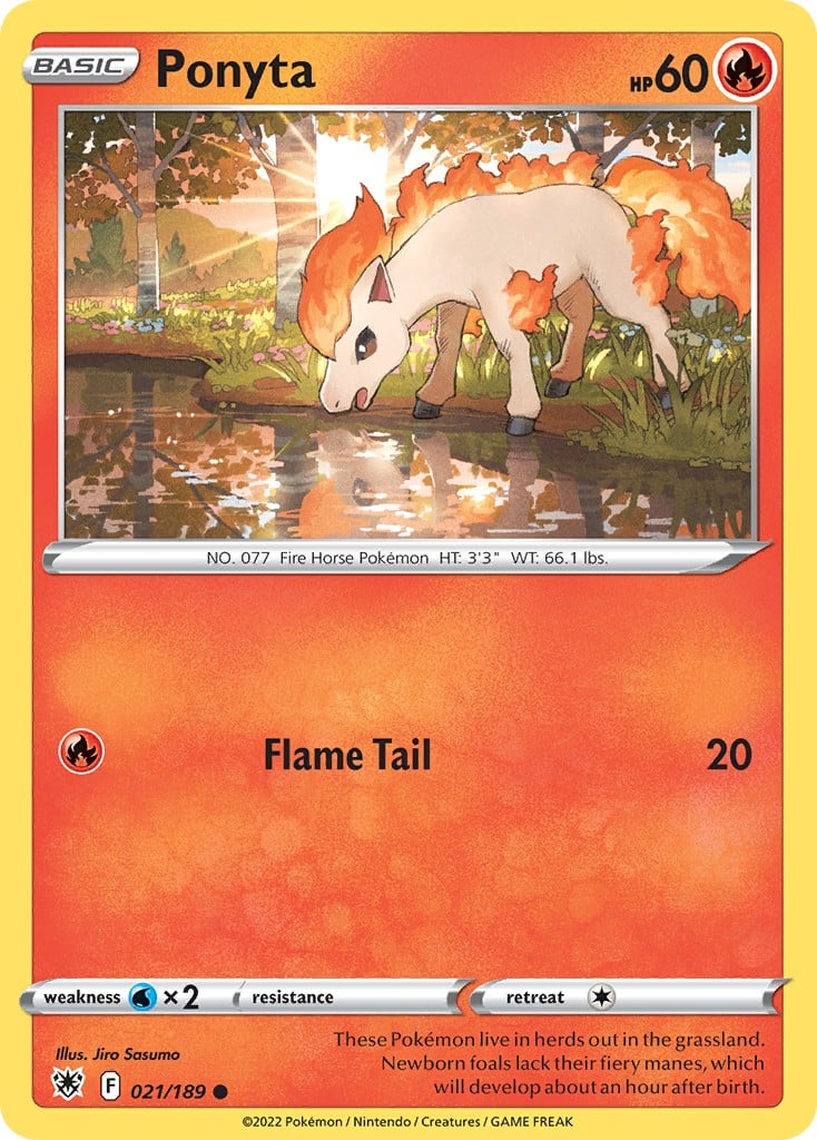 Ponyta - Image 1